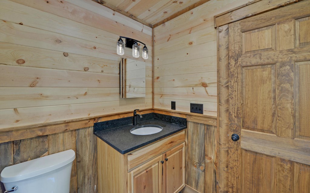 313 Burger Road Murphy, NC 28906 - Photo 16 of 41