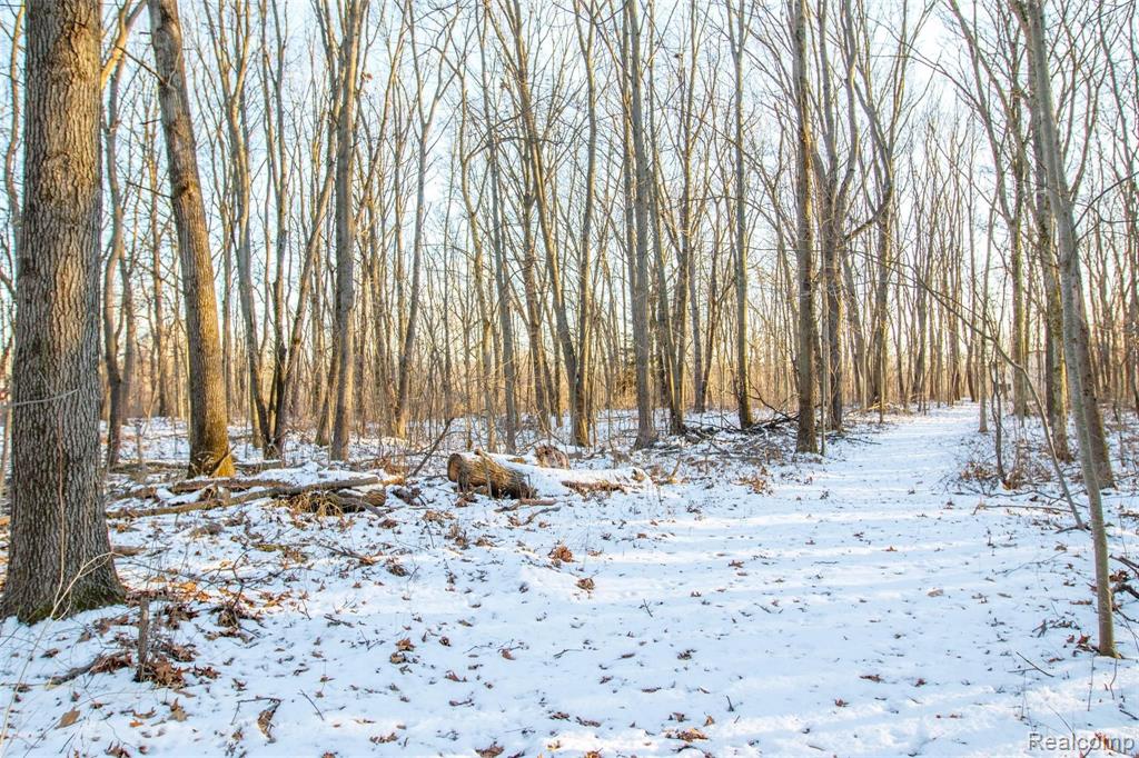 0 Easterling Road South Lyon, MI 48178 - Photo 5 of 7