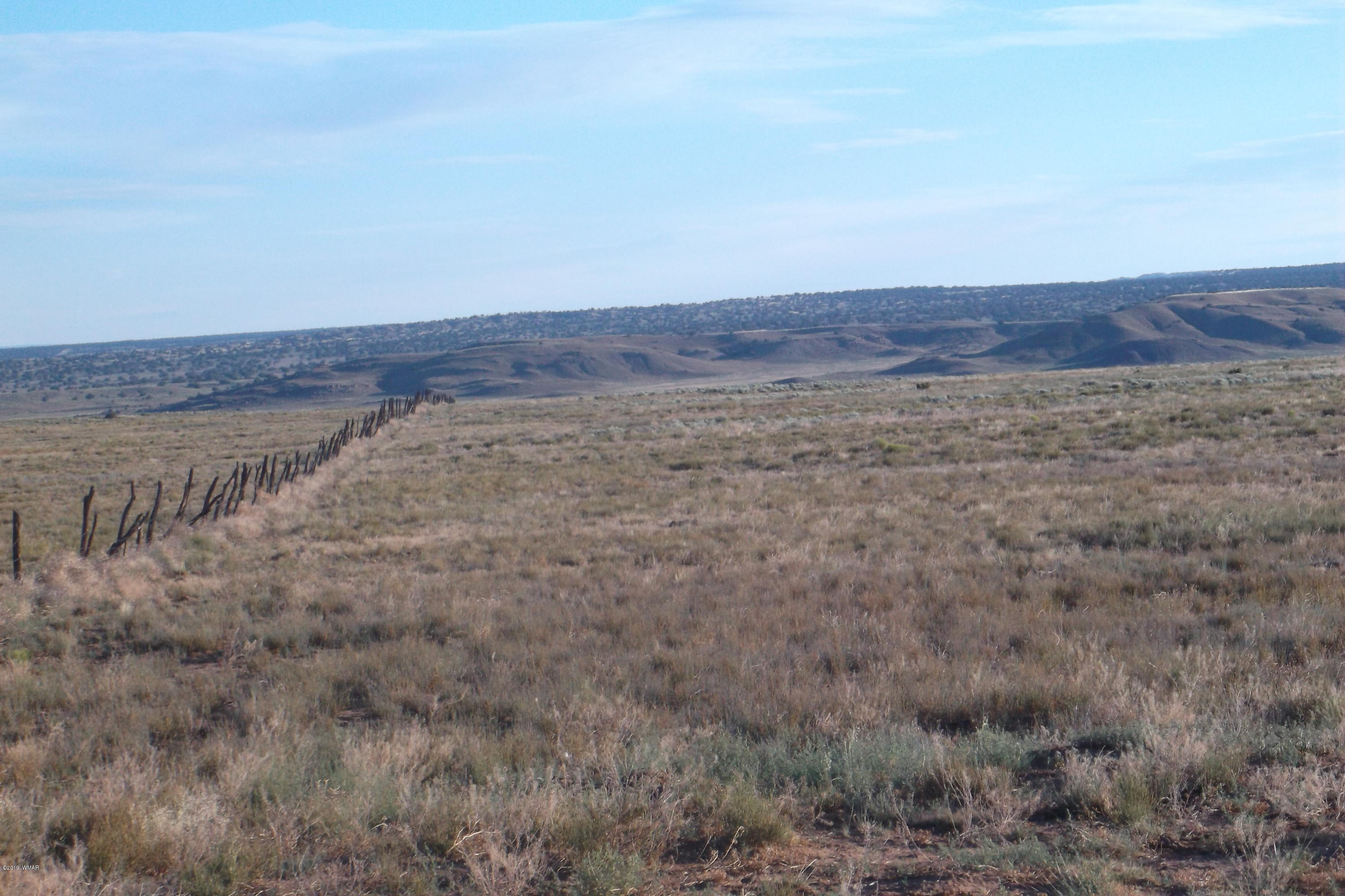 Lot 173 Carrizo Ranch St. Johns, AZ 85936 - Photo 5 of 7