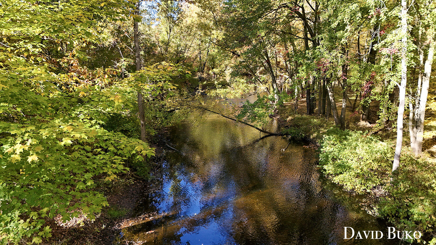 1875 11 Mile Road Northeast Rockford, MI 49341 - Photo 37 of 45 DJI_20251016104542_0640_Dcopy