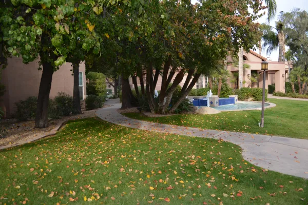 $4,500 | 10101 North Arabian Trail, Unit 2003, Scottsdale, AZ 85258