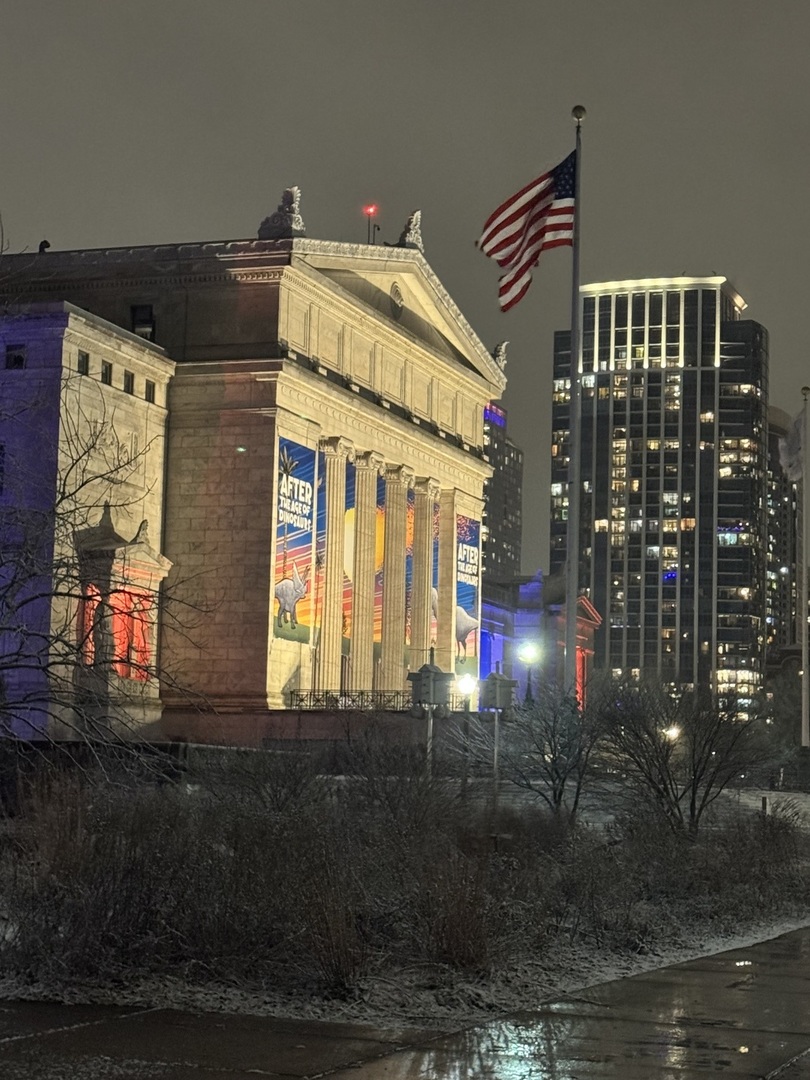 1235 South Prairie Avenue, Unit 1303 Chicago, IL 60605 - Photo 33 of 33