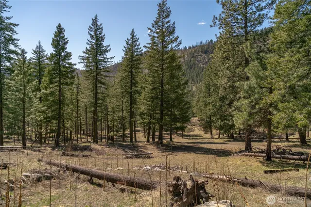 $325,000 | 0 Granite Creek, Chelan, WA 98816