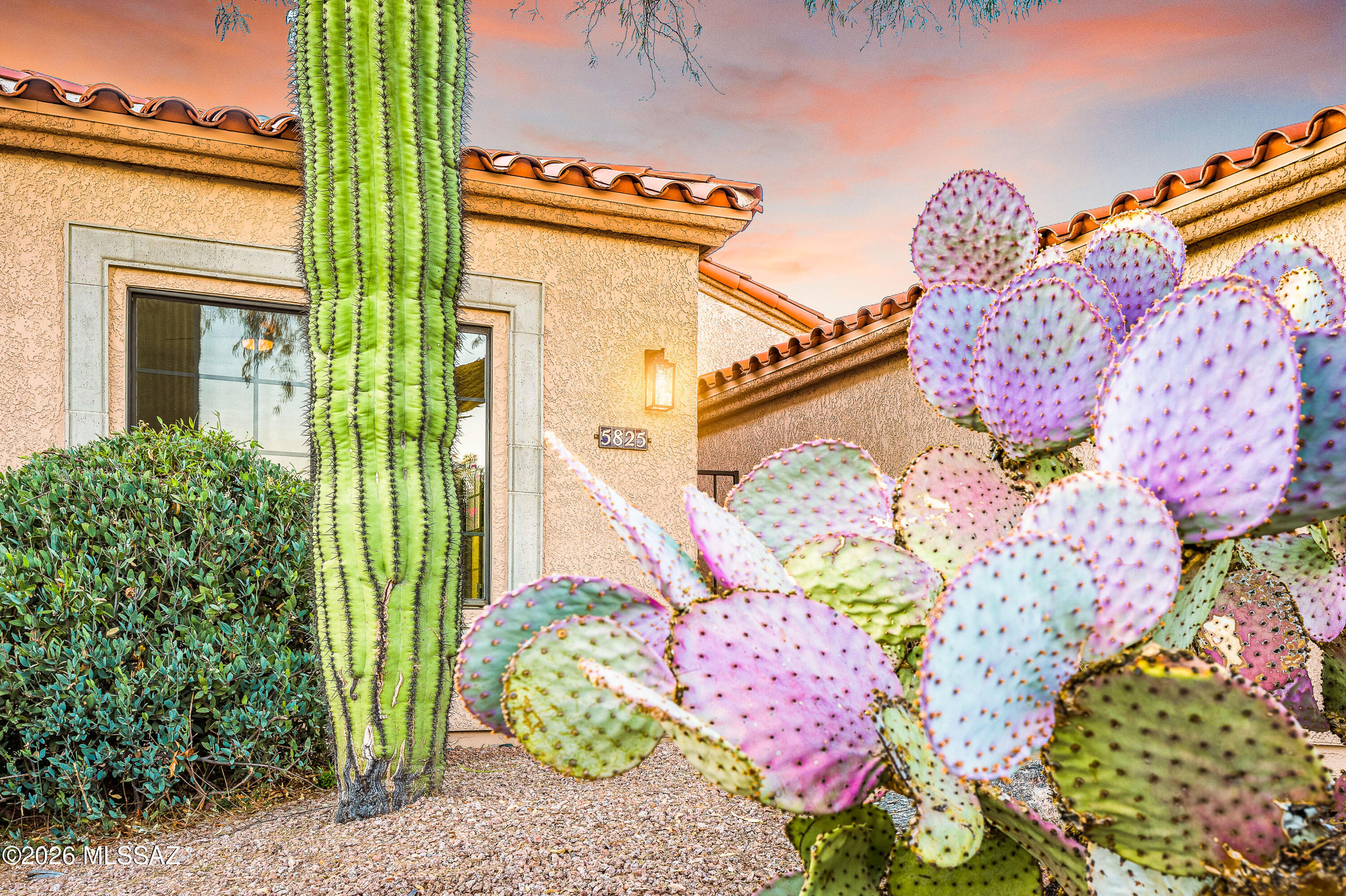 5825 North Misty Ridge Drive Tucson, AZ 85718 - Photo 2 of 39