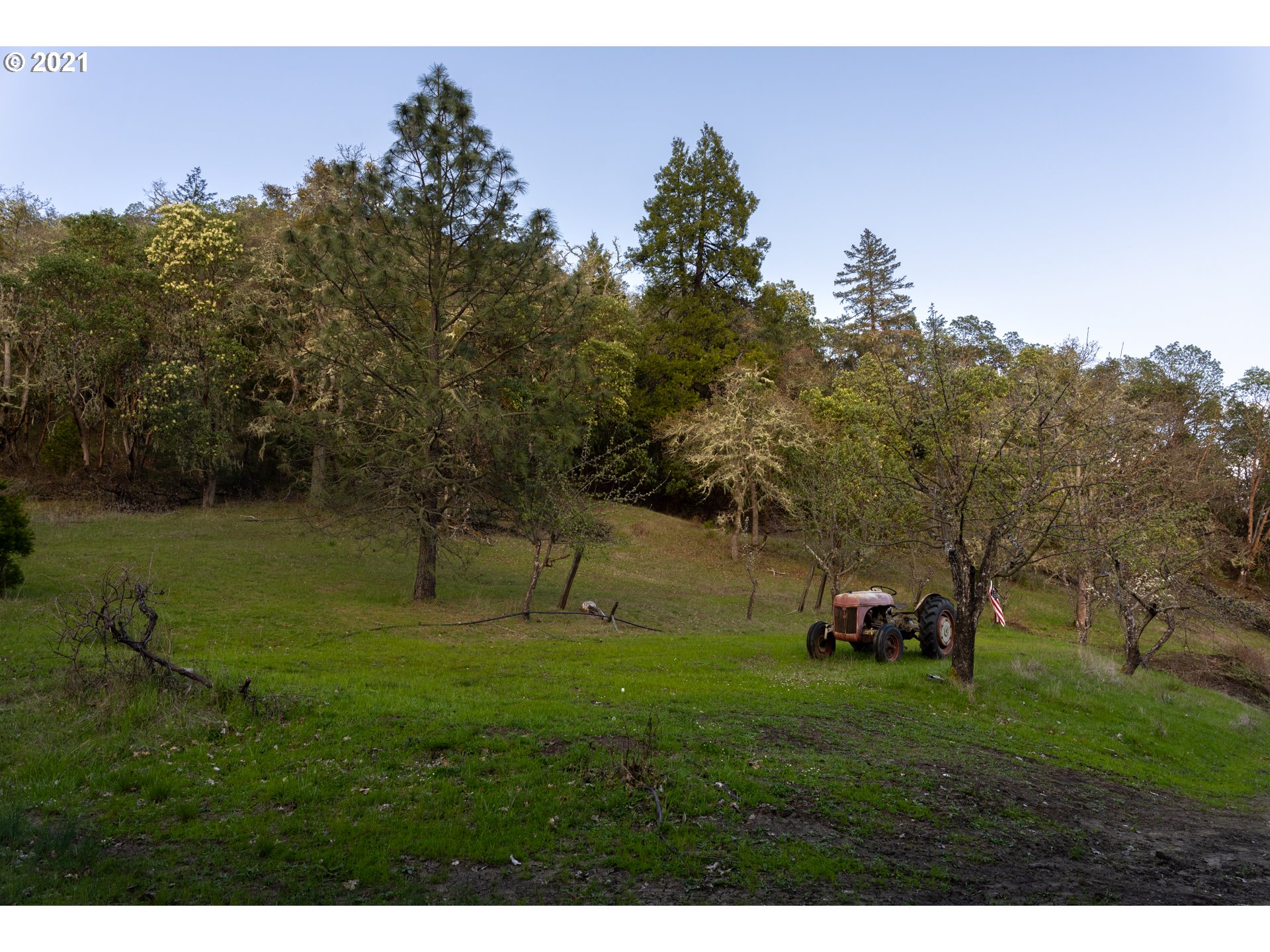 3456 North Bank Road Roseburg, OR 97470 - Photo 25 of 30 Gallery Image 25