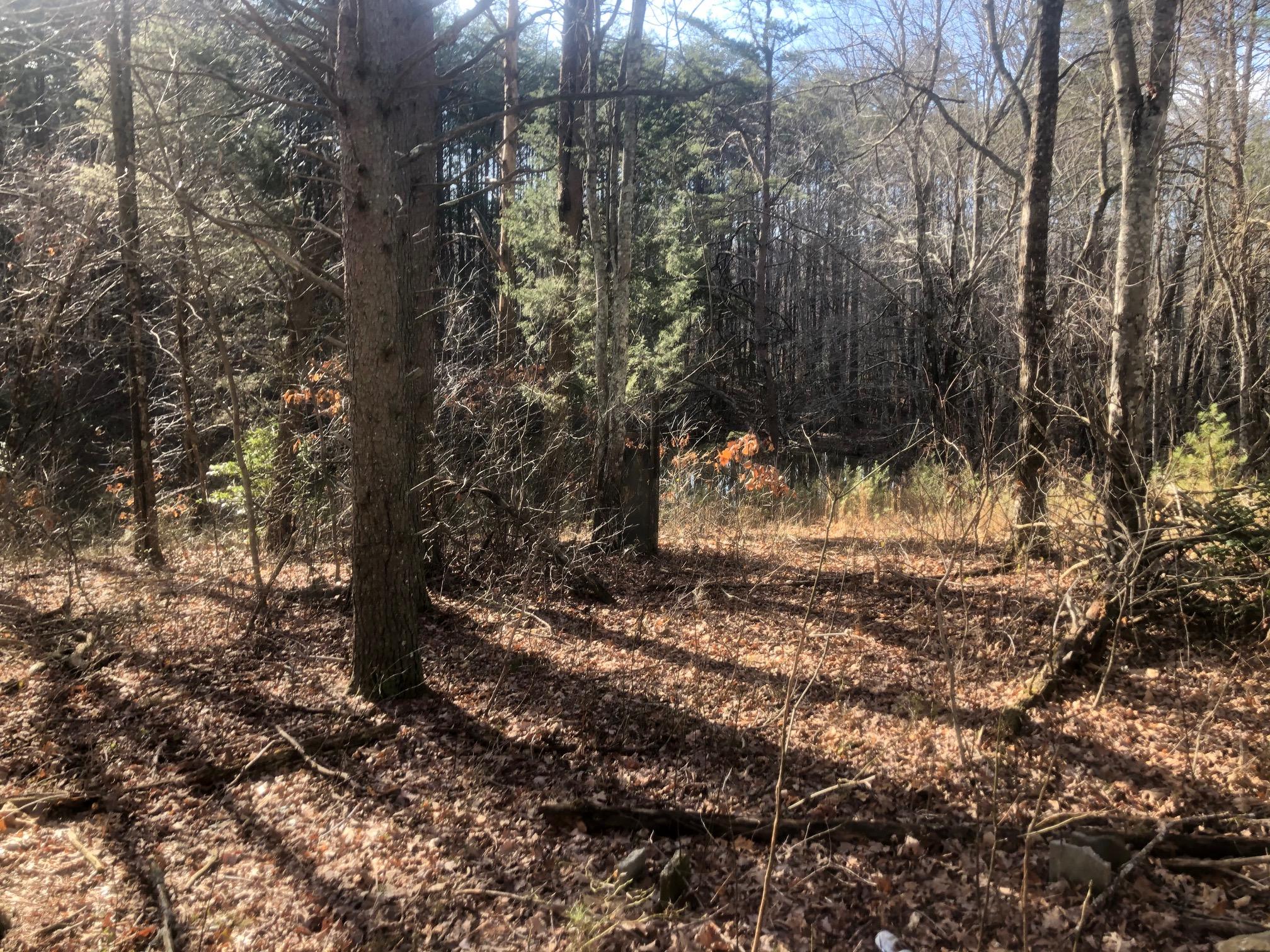20 McCarver Loop Road Dunlap, TN 37327 - Photo 2 of 29 IMG_5686