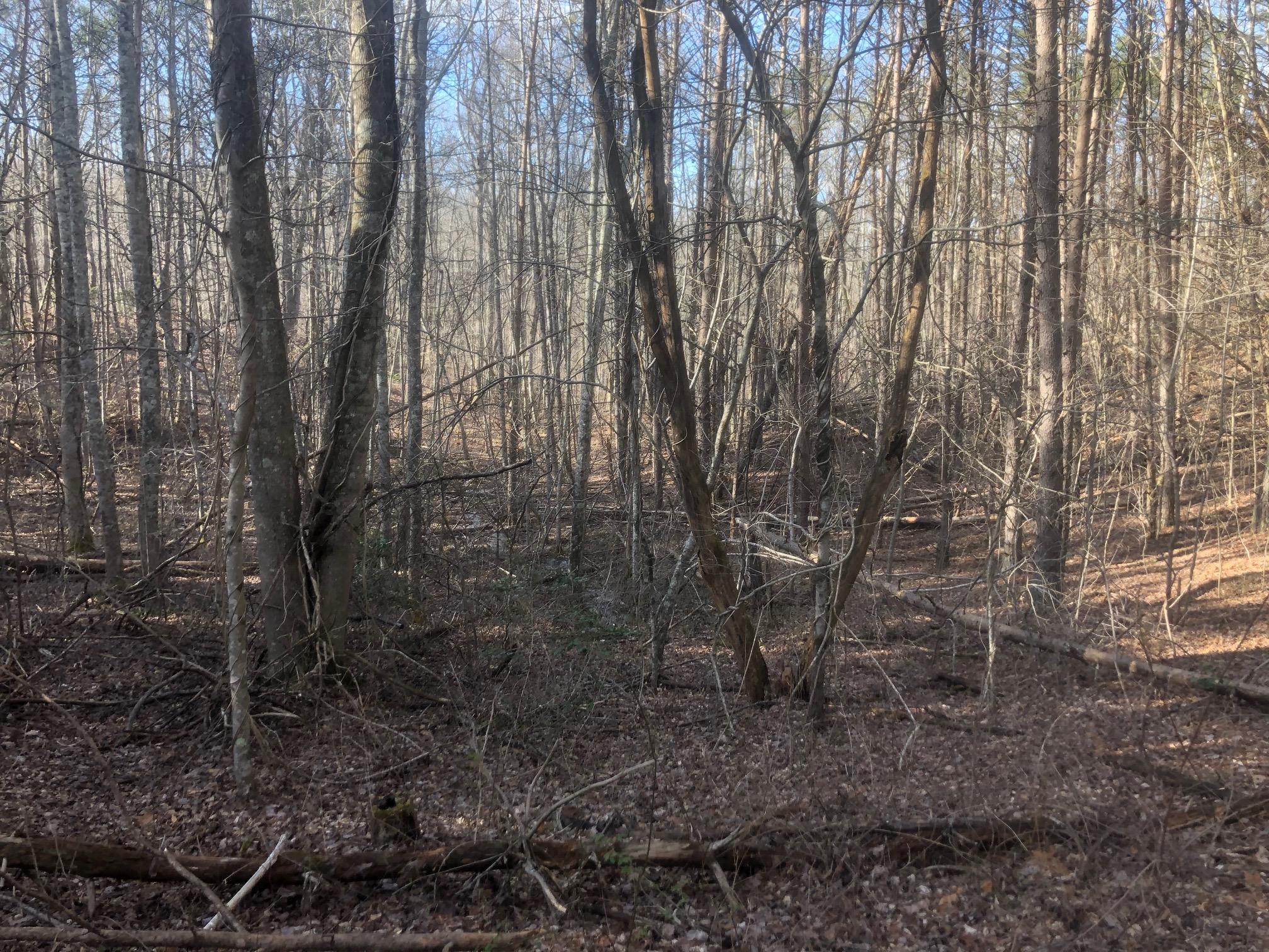 20 McCarver Loop Road Dunlap, TN 37327 - Photo 24 of 29 IMG_5695
