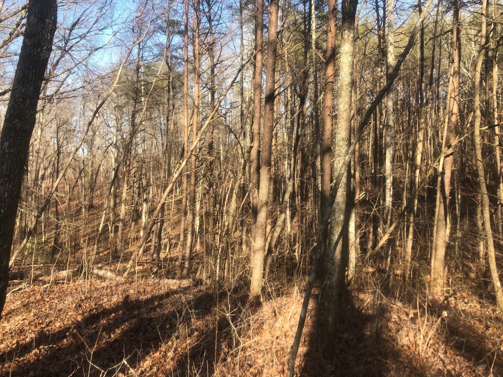 20 McCarver Loop Road Dunlap, TN 37327 - Photo 25 of 29 IMG_5699