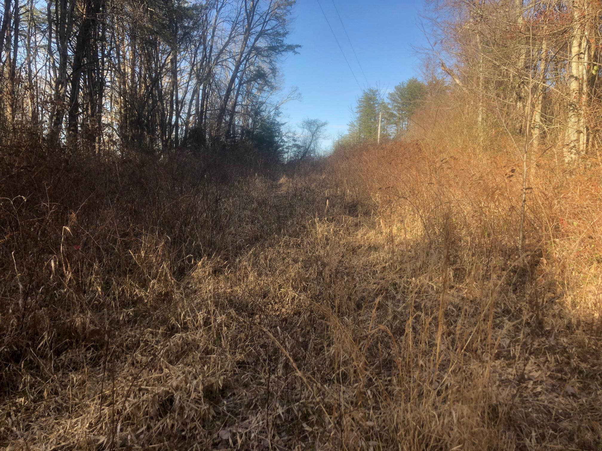 20 McCarver Loop Road Dunlap, TN 37327 - Photo 26 of 29 IMG_5709