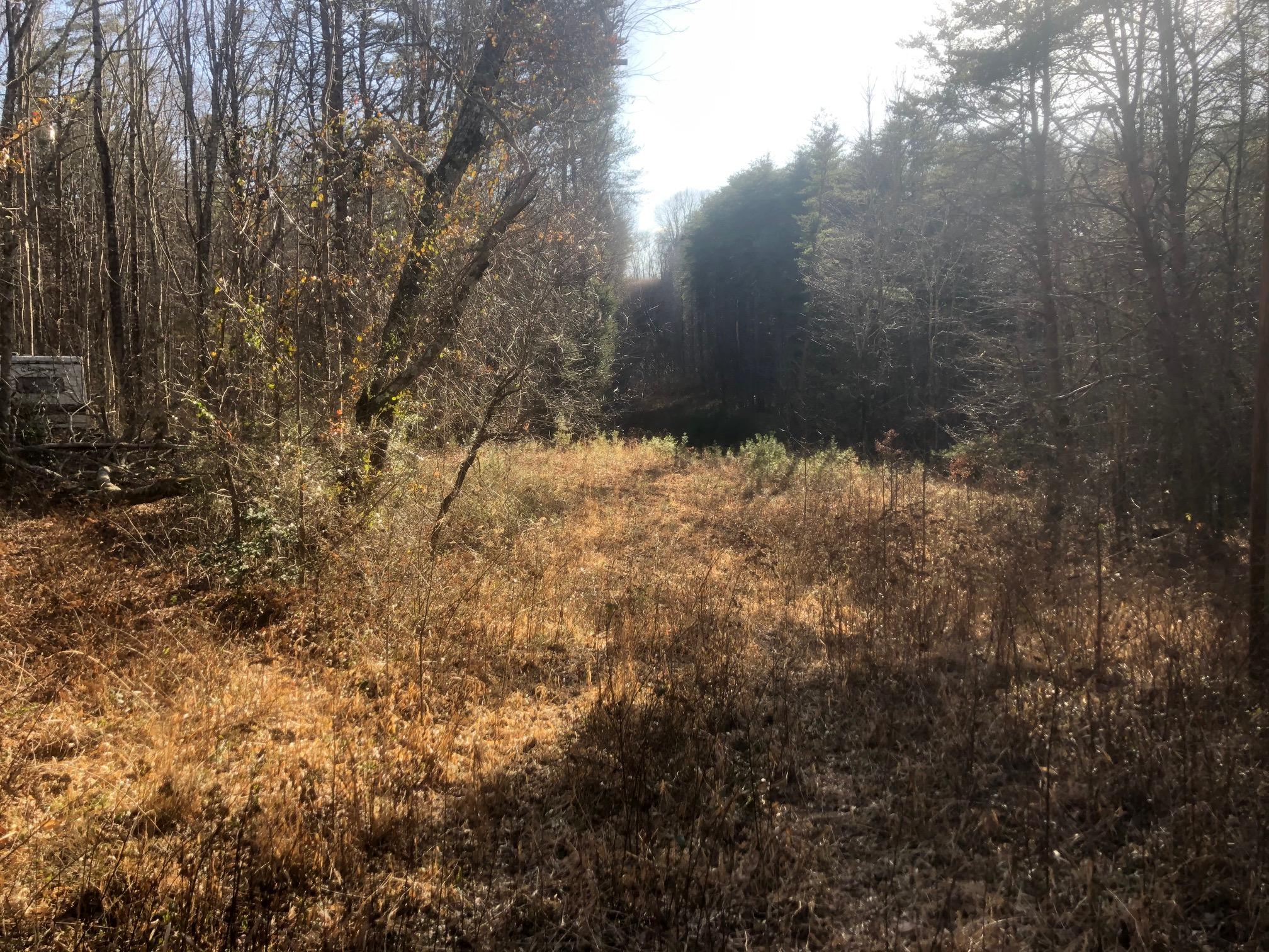 20 McCarver Loop Road Dunlap, TN 37327 - Photo 27 of 29 IMG_5710