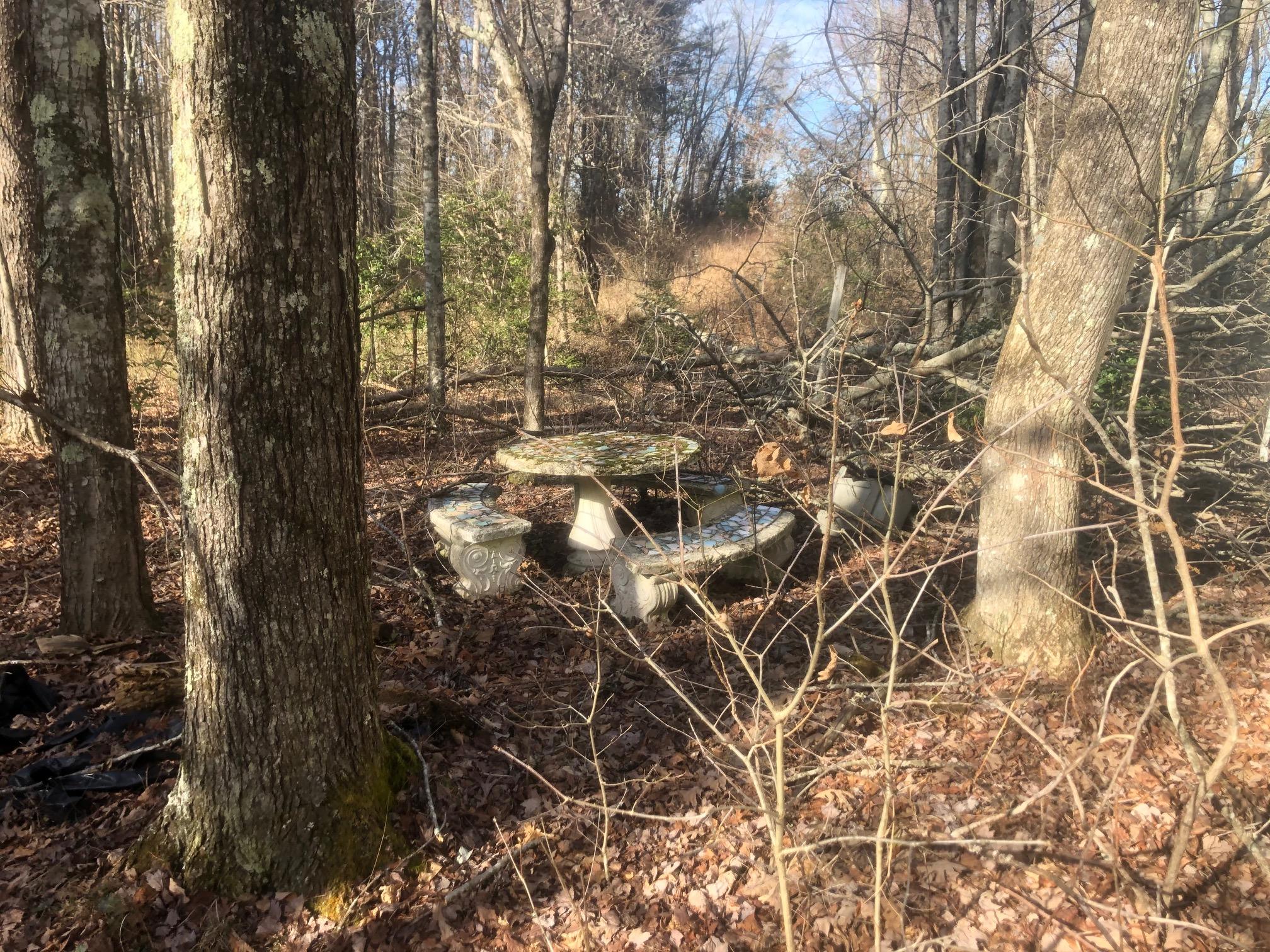 20 McCarver Loop Road Dunlap, TN 37327 - Photo 5 of 29 IMG_5684