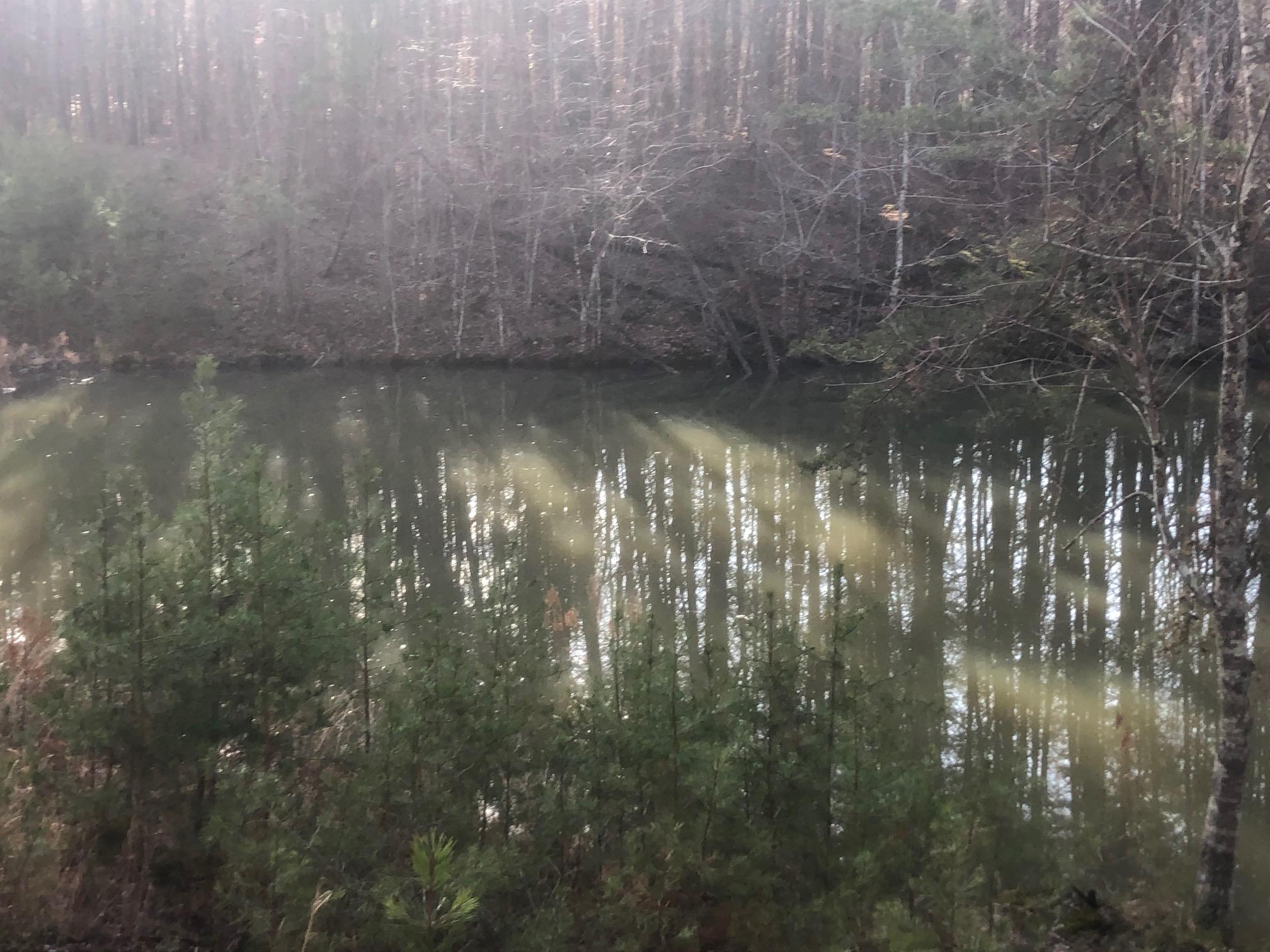 20 McCarver Loop Road Dunlap, TN 37327 - Photo 8 of 29 IMG_5688