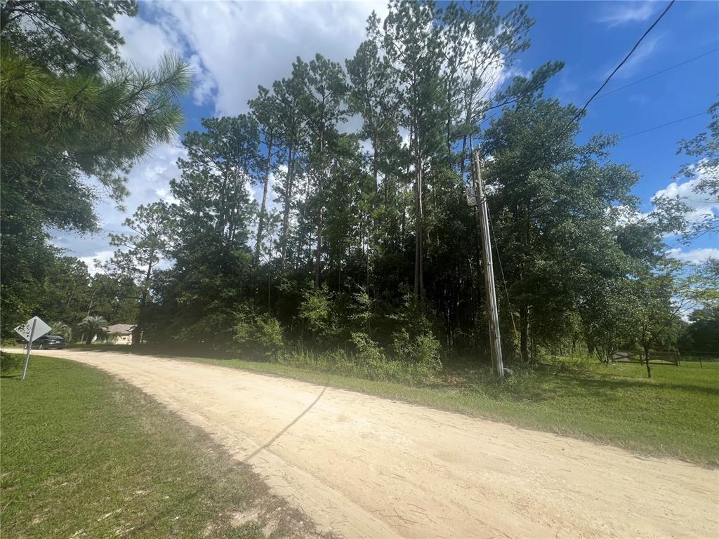 Tbd Southwest 45th Lane Road Ocala, FL 34481 - Photo 1 of 1