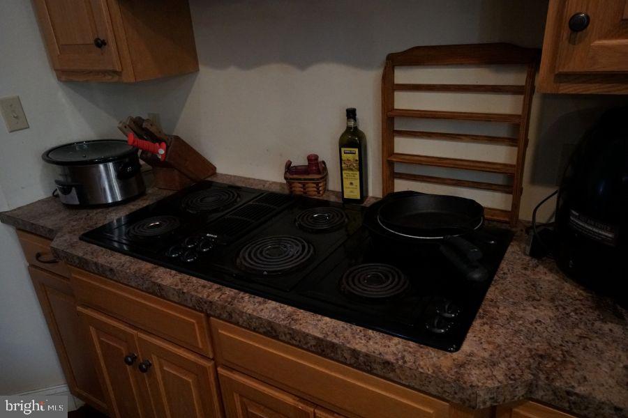 255 Troublesome Valley Road Franklin, WV 26807 - Photo 30 of 72 a kitchen with a stove and a microwave