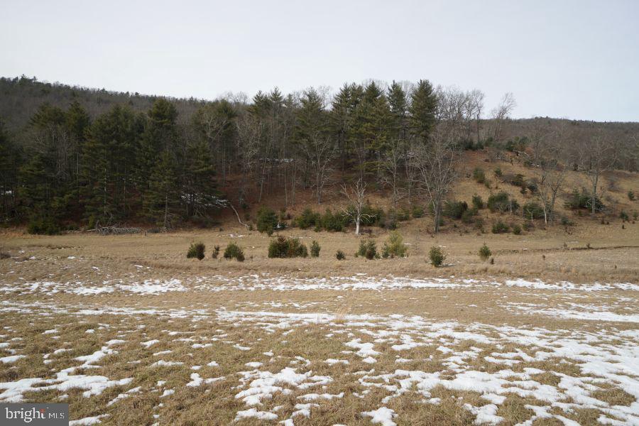 255 Troublesome Valley Road Franklin, WV 26807 - Photo 57 of 72 a view of a yard with a tree
