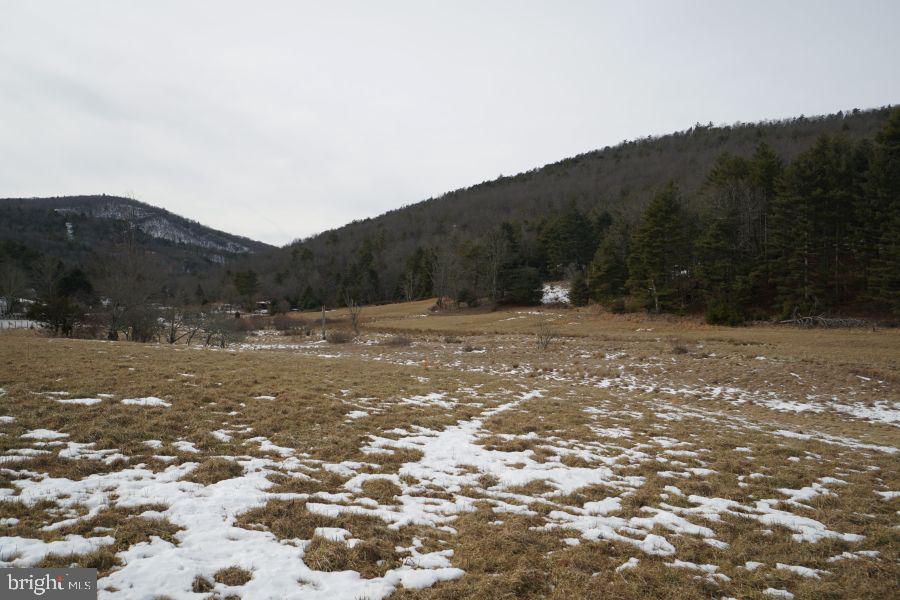 255 Troublesome Valley Road Franklin, WV 26807 - Photo 62 of 72