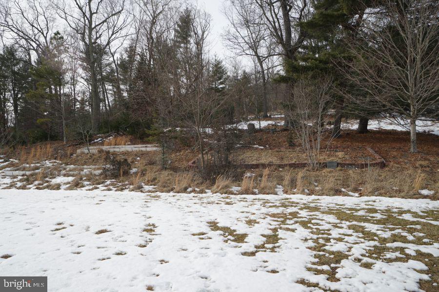 255 Troublesome Valley Road Franklin, WV 26807 - Photo 66 of 72 a view of outdoor space yard and trees