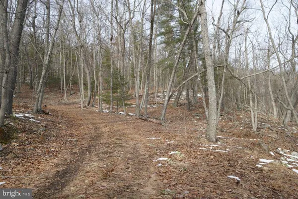 $2,250,000 | 255 Troublesome Valley Road, Franklin, WV 26807