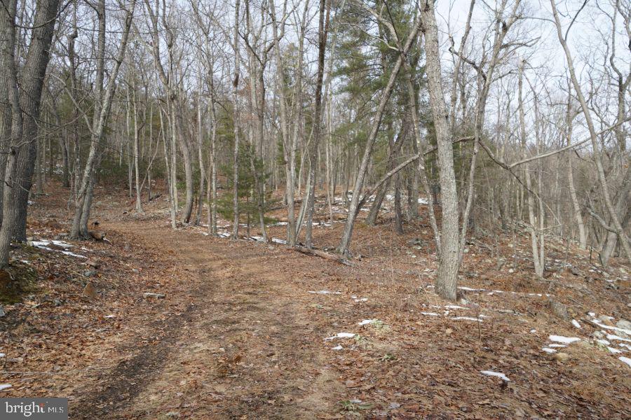 255 Troublesome Valley Road Franklin, WV 26807 - Photo 71 of 72