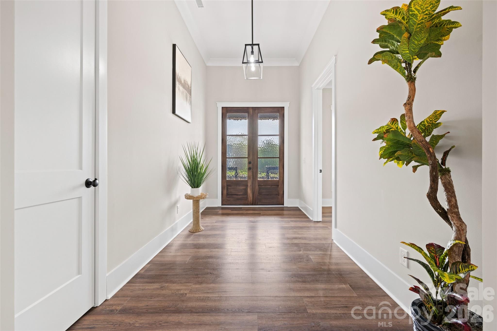 254 Triple Ponds Court Clover, SC 29710 - Photo 5 of 45 a hallway with wooden floor and a potted plant