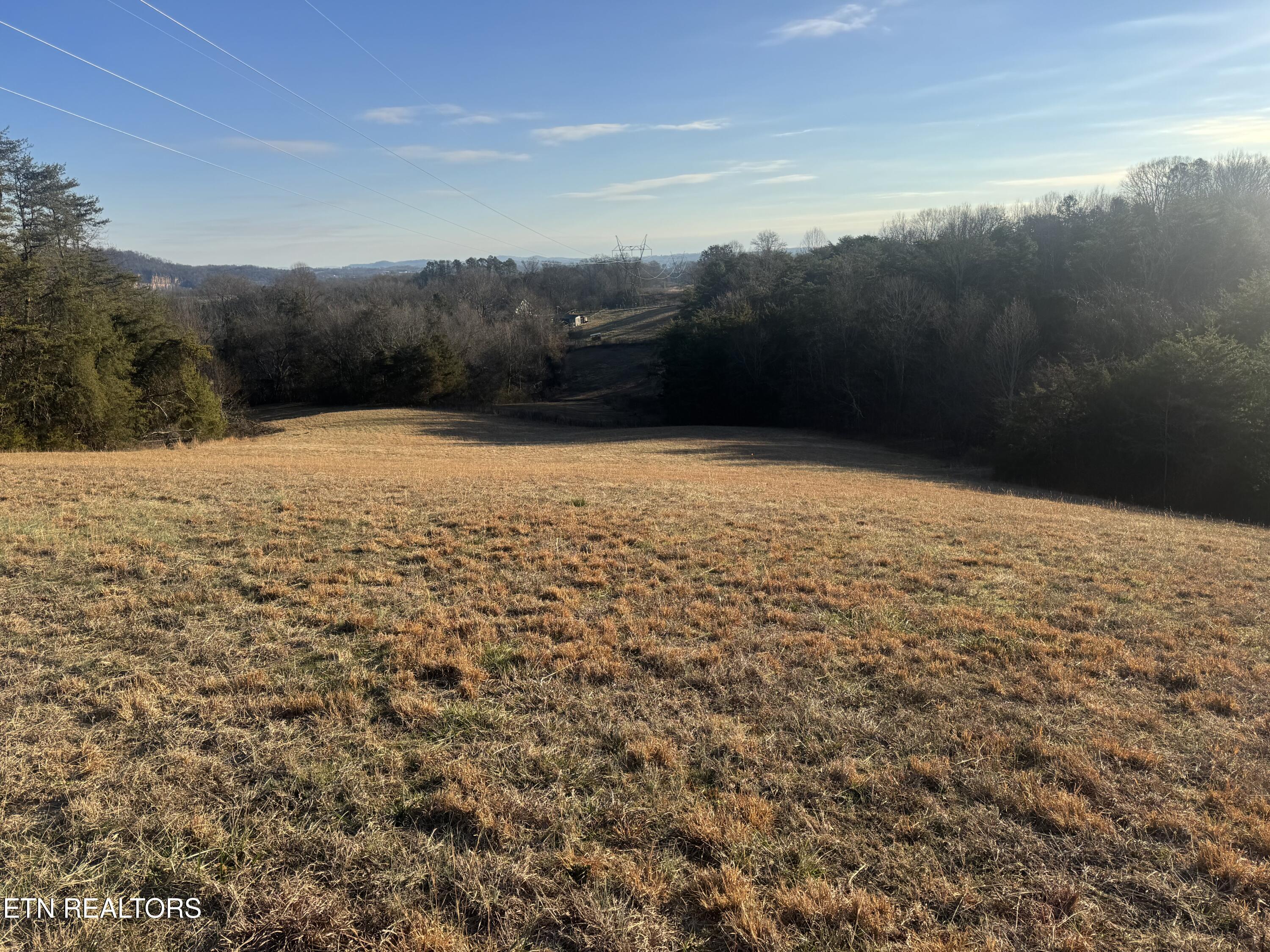 2490 Whittle Road New Market, TN 37820 - Photo 21 of 41 IMG_9942