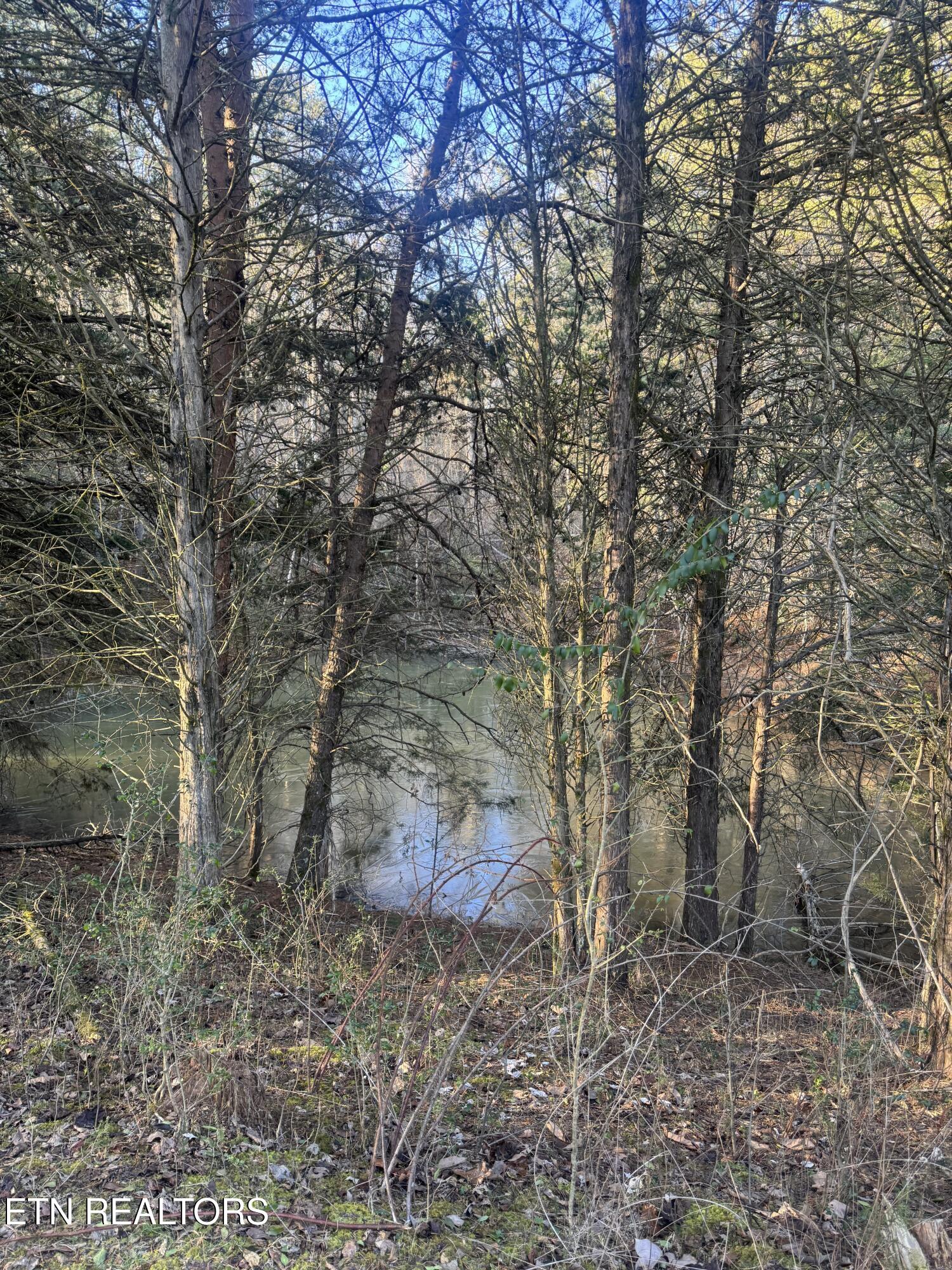 2490 Whittle Road New Market, TN 37820 - Photo 31 of 41 IMG_9953