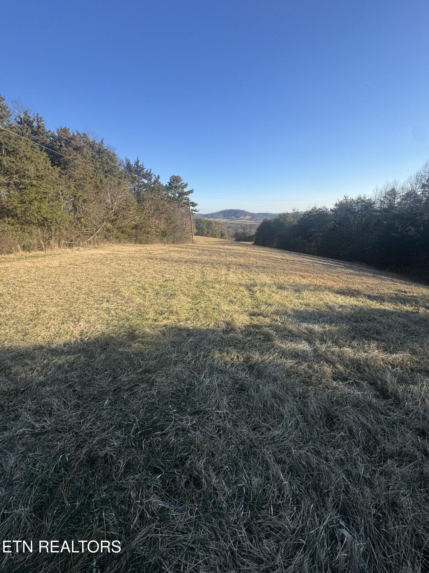 2490 Whittle Road New Market, TN 37820 - Photo 39 of 41 IMG_9964