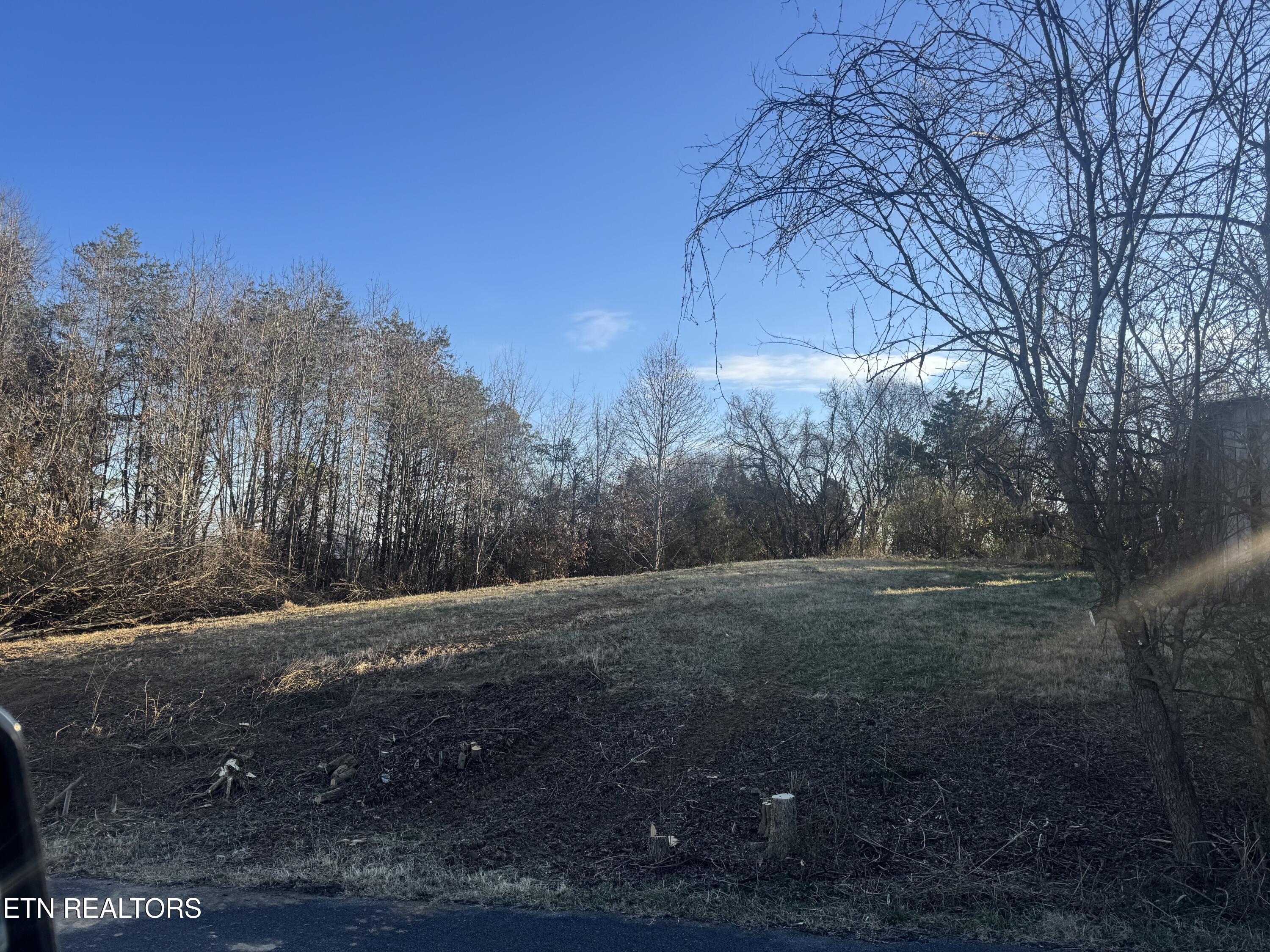 2490 Whittle Road New Market, TN 37820 - Photo 4 of 41 IMG_9923