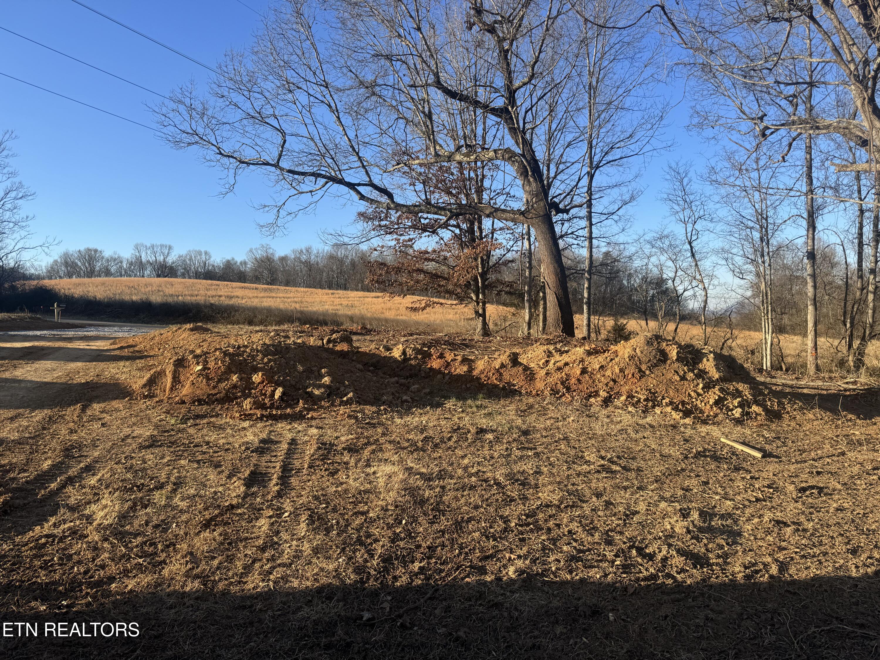 2490 Whittle Road New Market, TN 37820 - Photo 10 of 41 IMG_9929