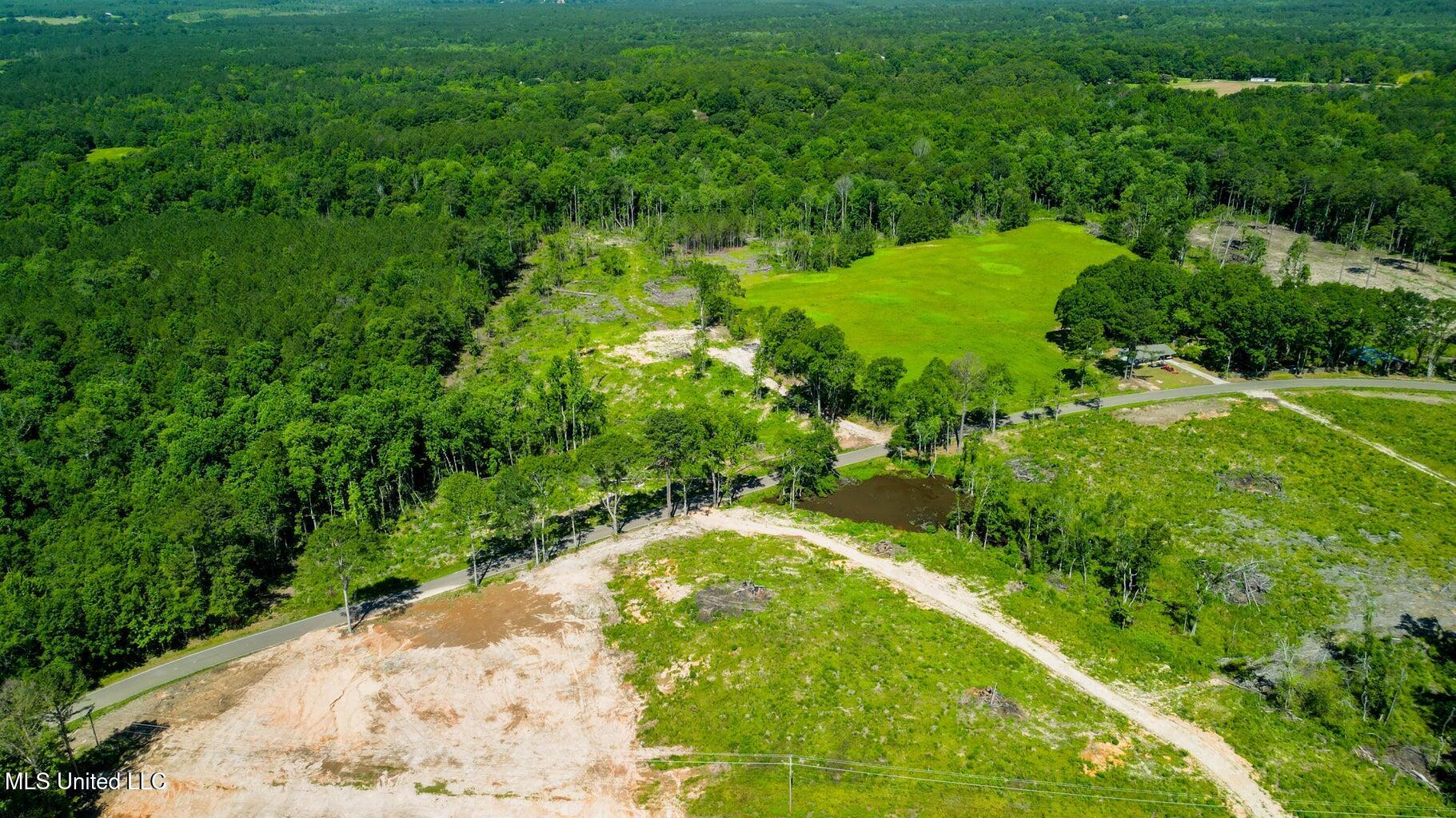 Parcel C South Mill Creek Road Purvis, MS 39475 - Photo 1 of 2 20260226191850641149000000-o