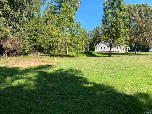 a view of a field with a tree