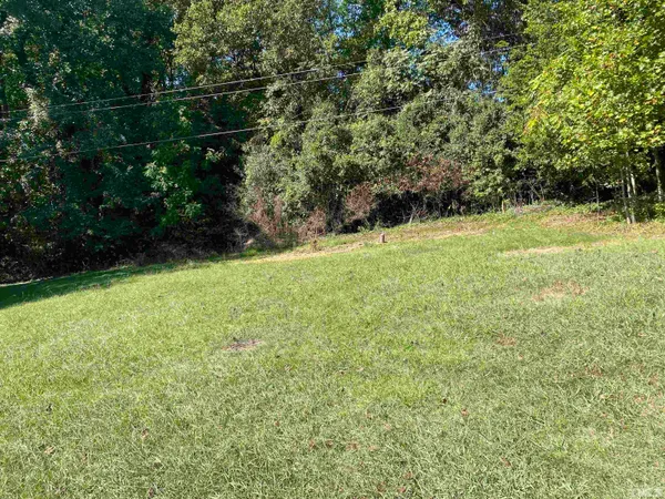 a view of yard with green space