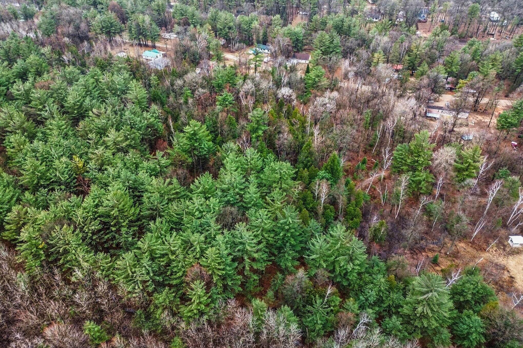 1652 South Whitney Road Beaverton, MI 48612 - Photo 16 of 18 1652 S Whitney Road _ 16