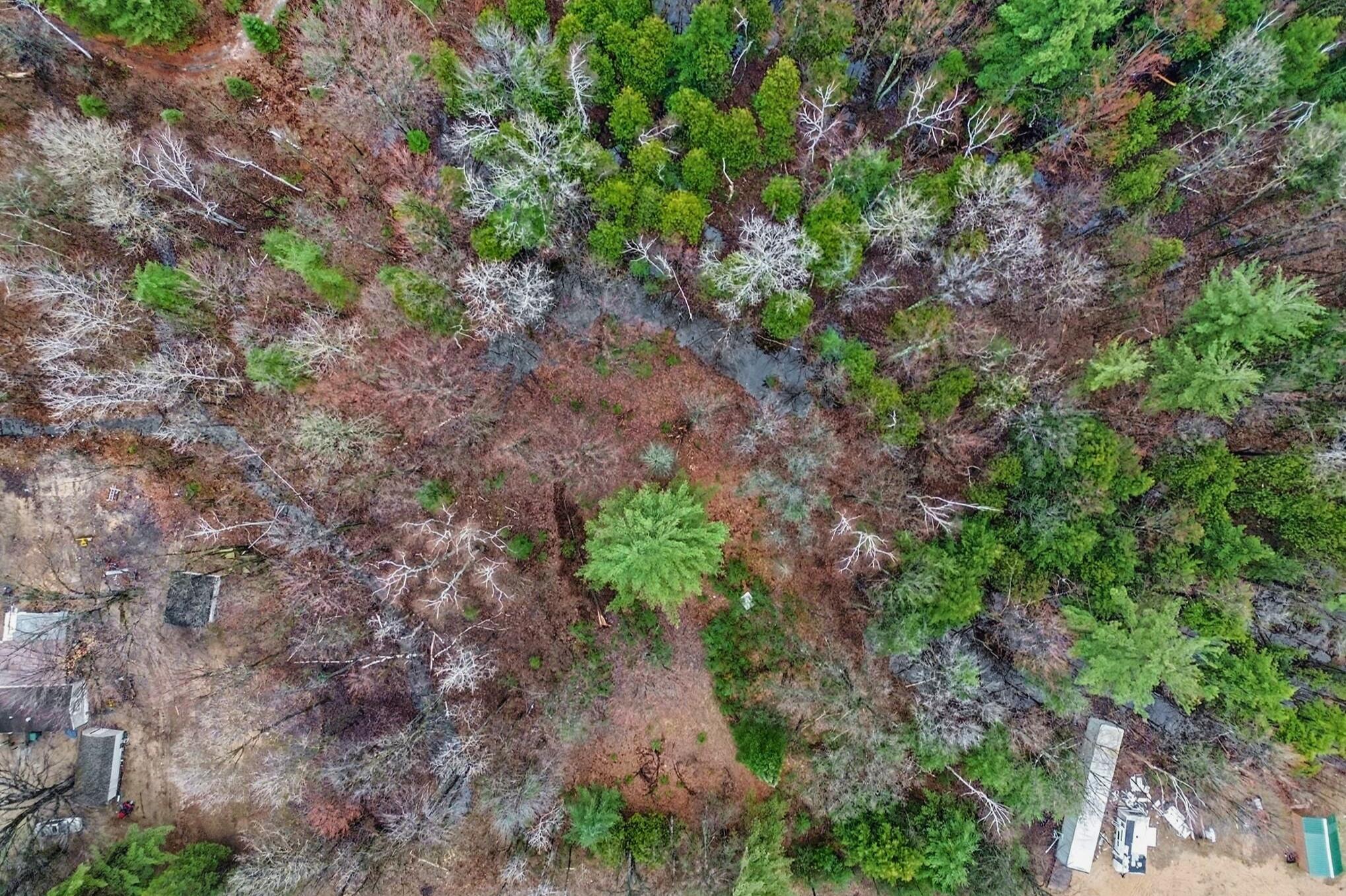 1652 South Whitney Road Beaverton, MI 48612 - Photo 3 of 18 1652 S Whitney Road _ 3