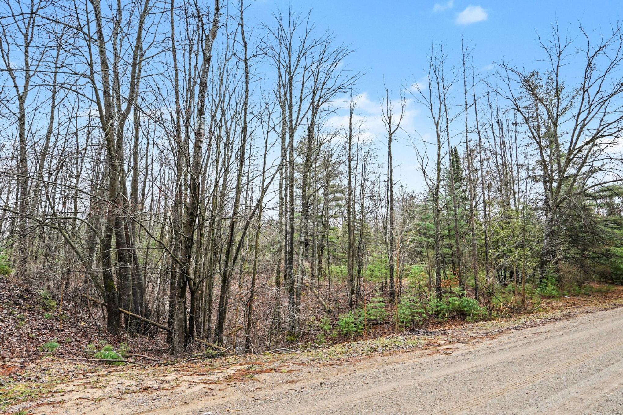 1652 South Whitney Road Beaverton, MI 48612 - Photo 6 of 18 1652 S Whitney Road _ 6