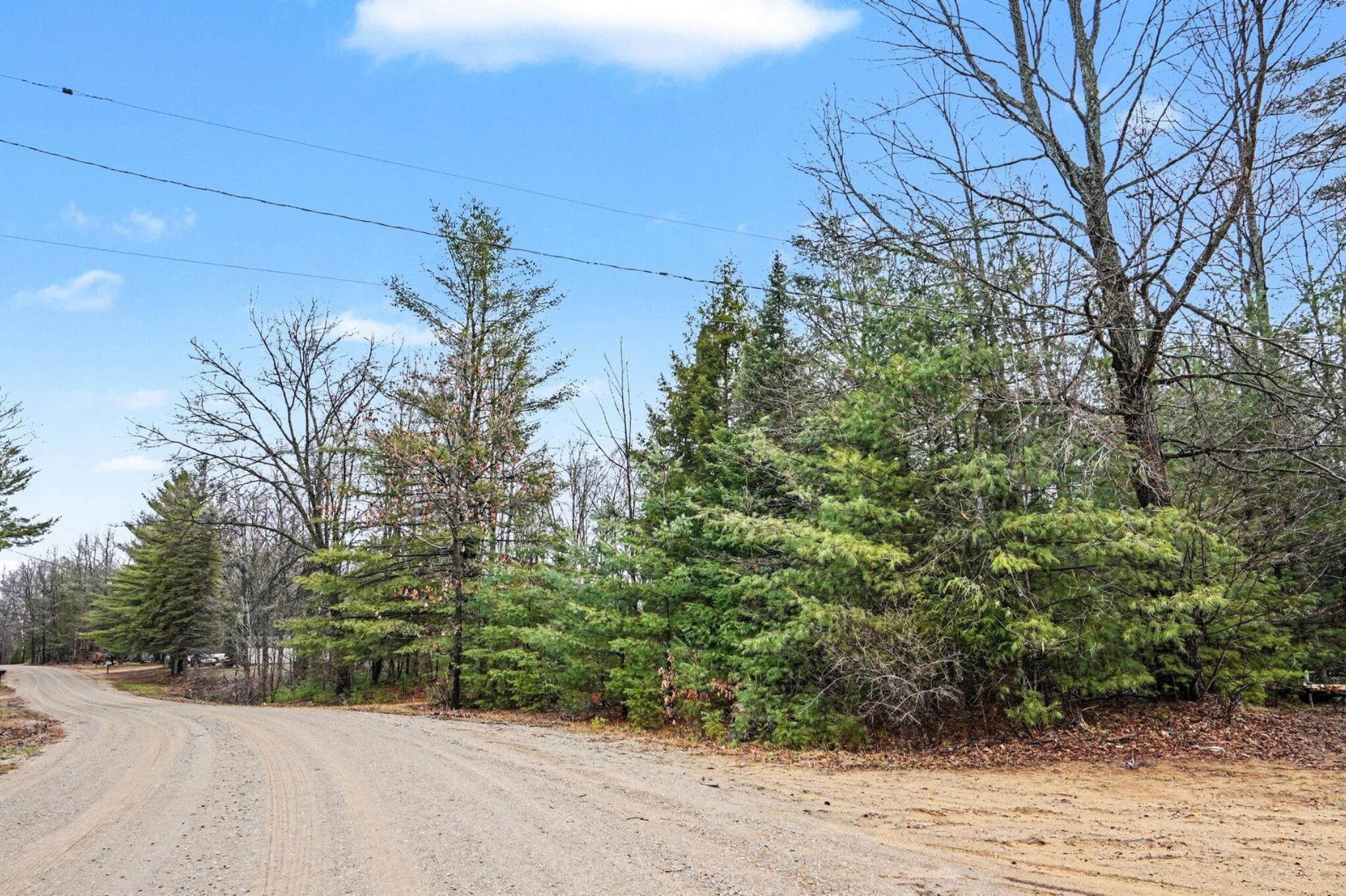 1652 South Whitney Road Beaverton, MI 48612 - Photo 7 of 18 1652 S Whitney Road _ 7