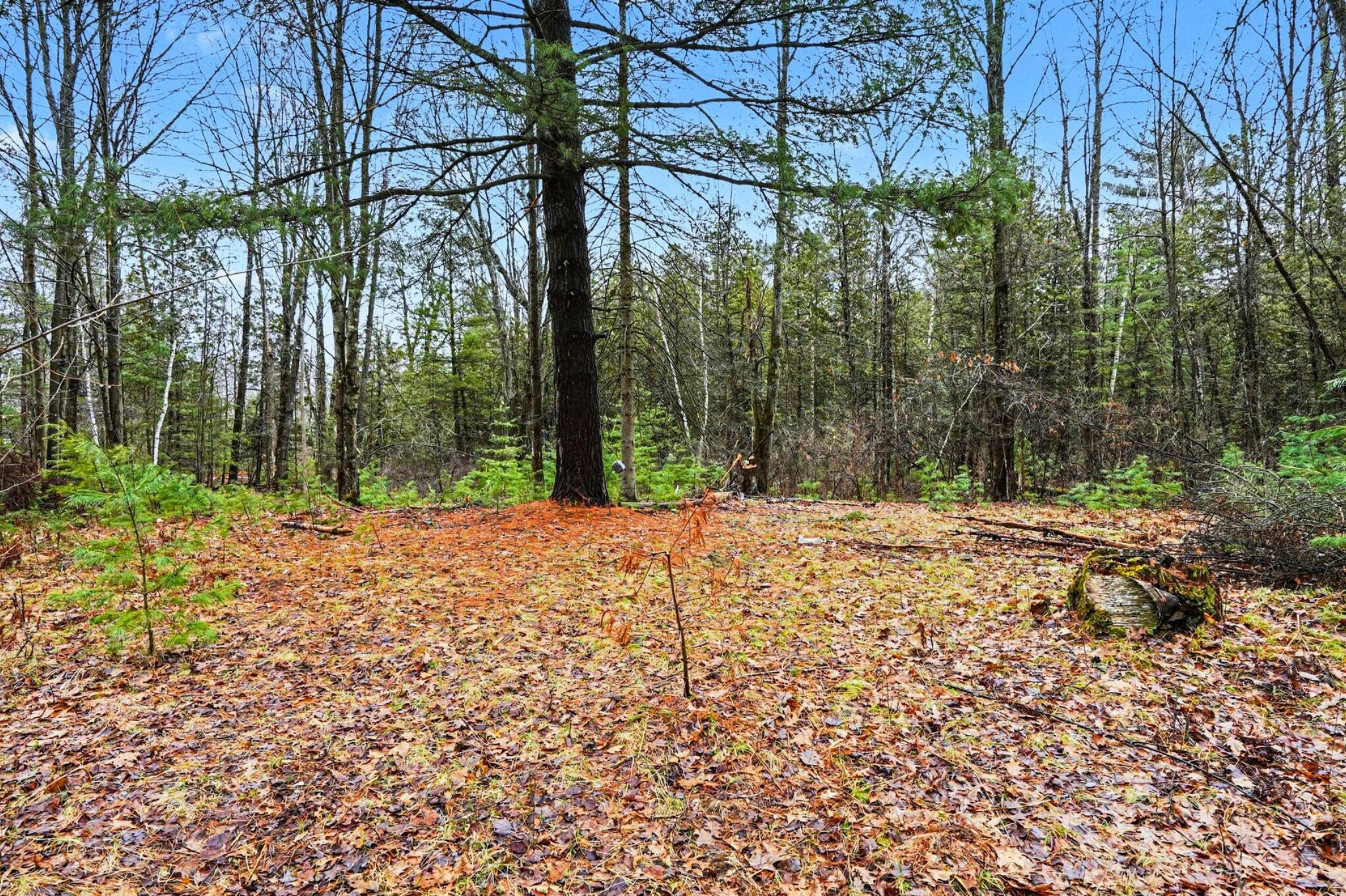 1652 South Whitney Road Beaverton, MI 48612 - Photo 9 of 18 1652 S Whitney Road _ 9