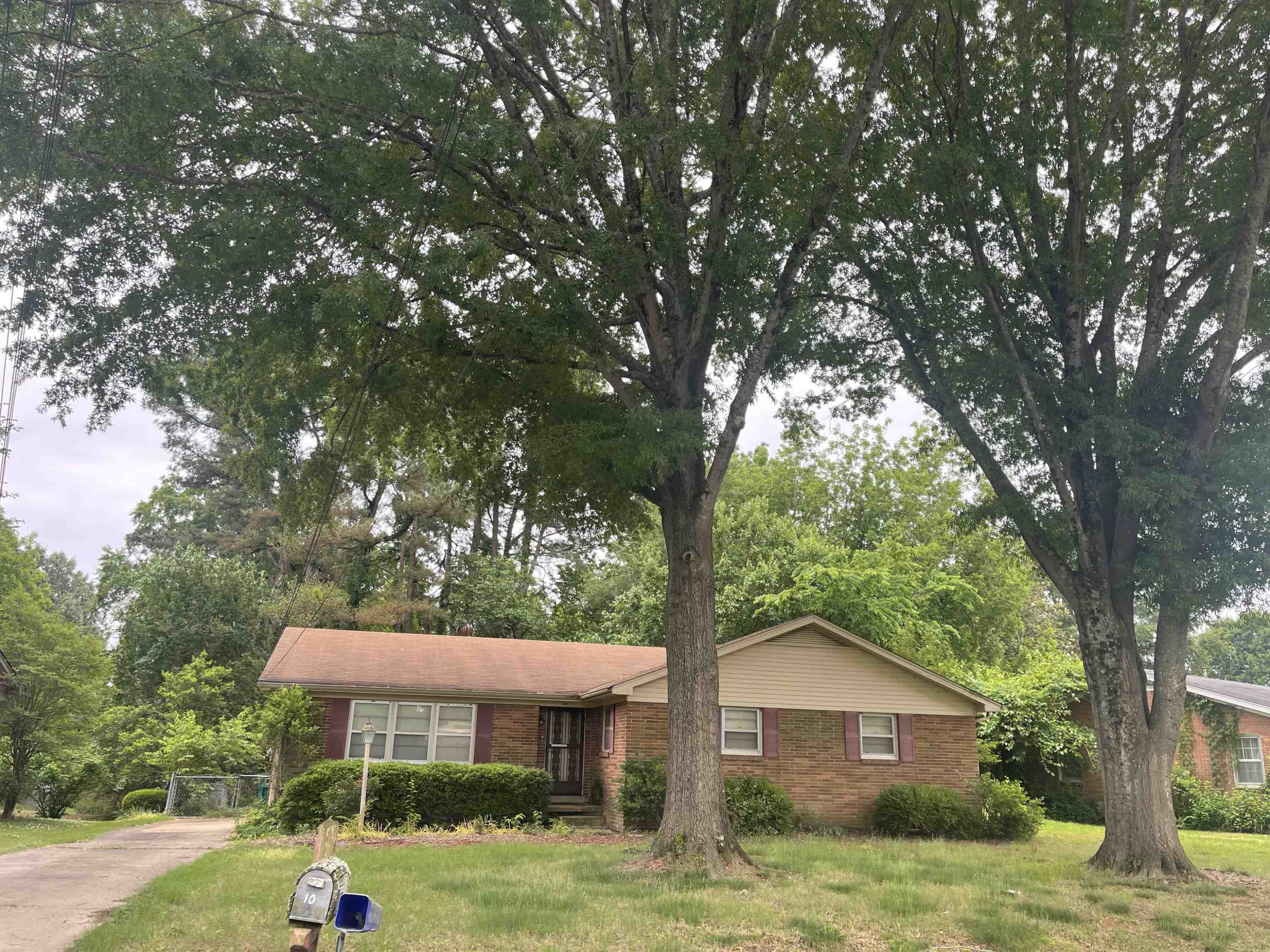 10 Ridgeview Drive Jackson, TN 38301 - Photo 1 of 1 Photo 1