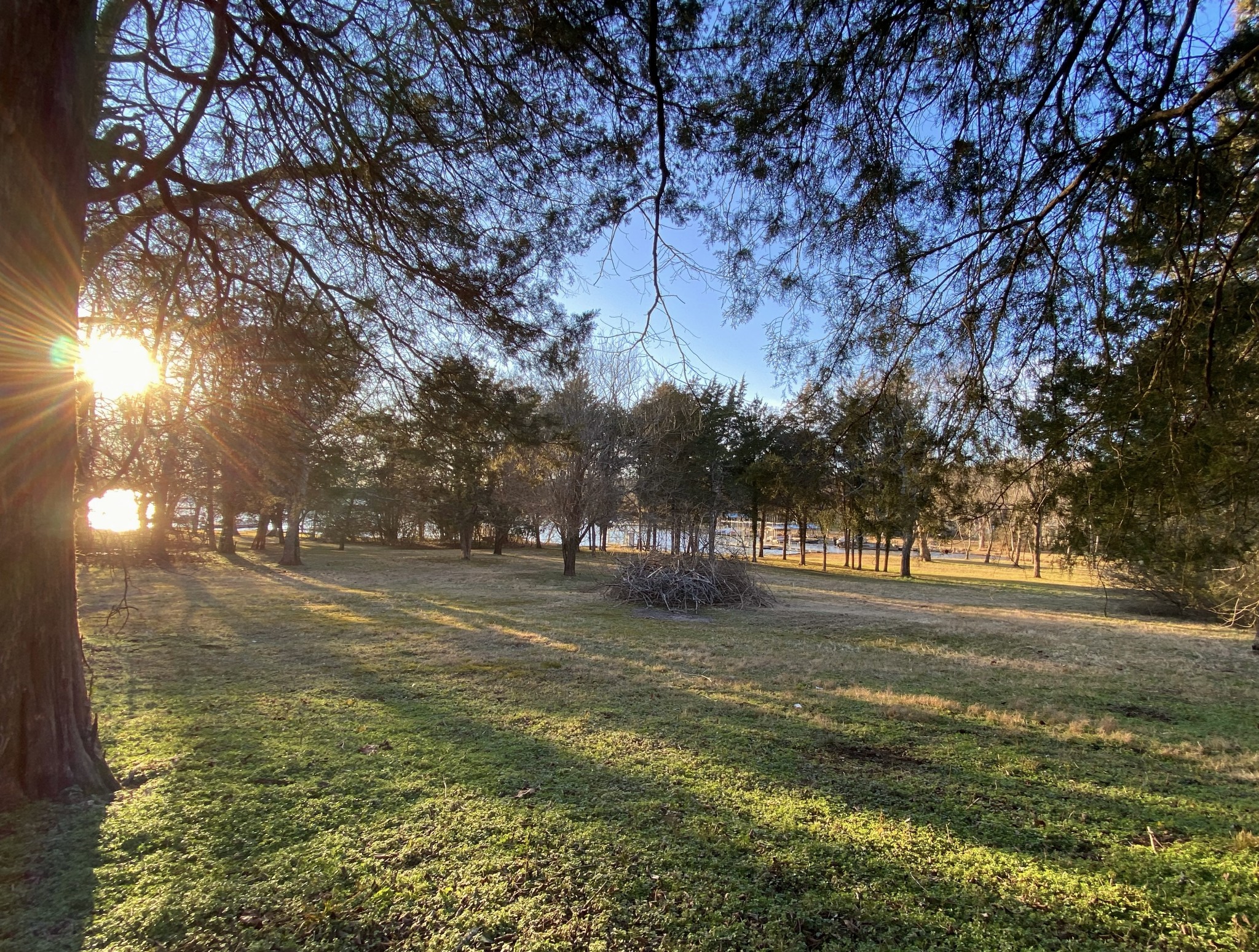 5518 Vanderbilt Road Old Hickory, TN 37138 - Photo 1 of 32 a view of a yard with a tree
