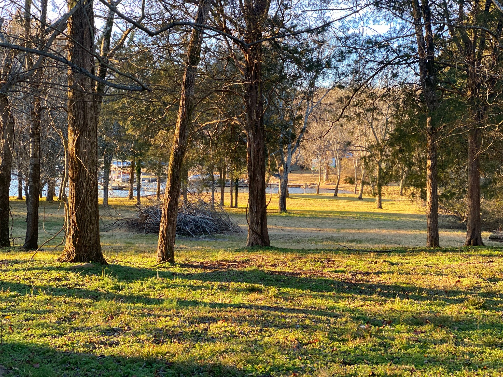5518 Vanderbilt Road Old Hickory, TN 37138 - Photo 2 of 32 a view of a yard with large trees