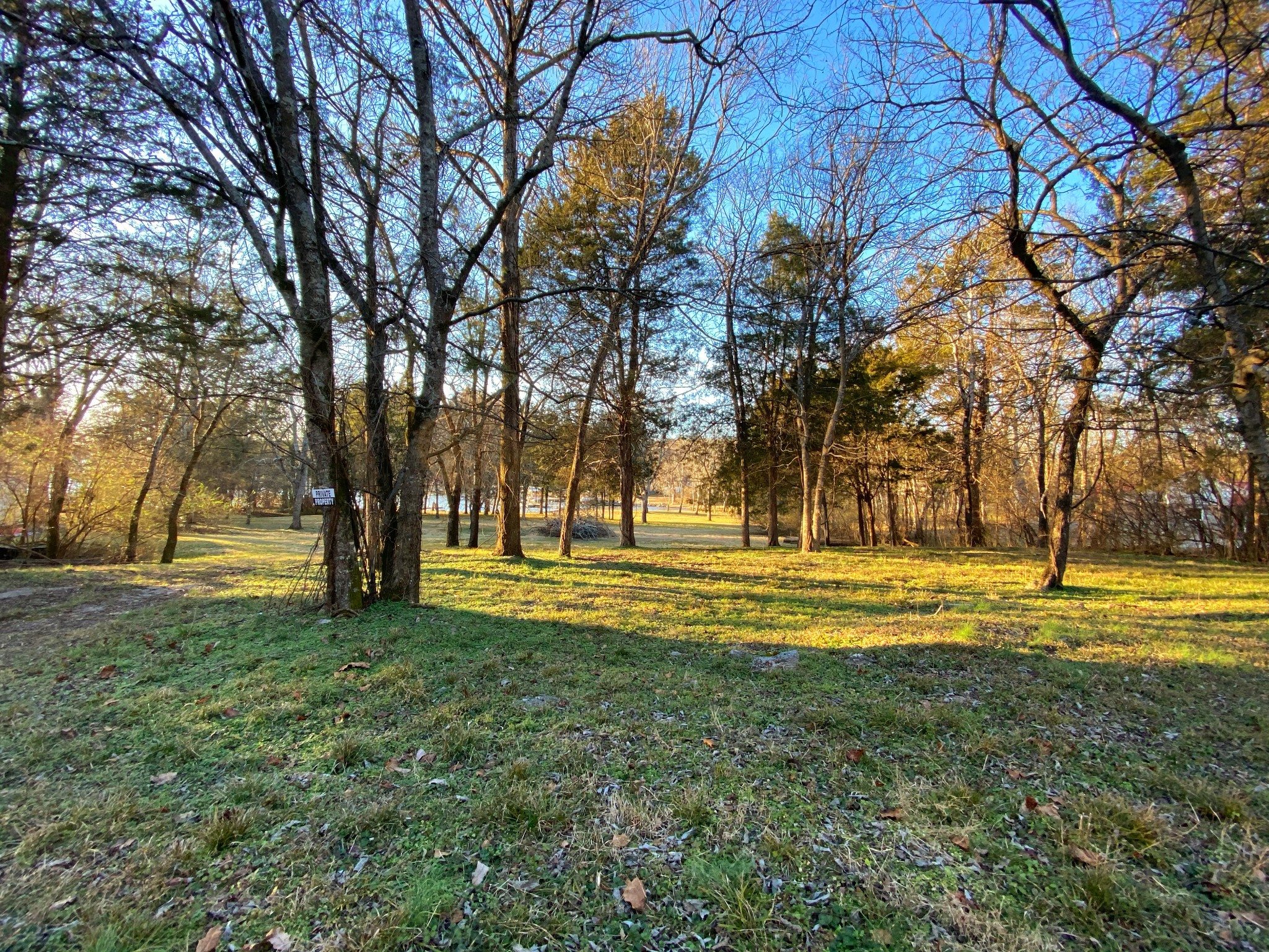 5518 Vanderbilt Road Old Hickory, TN 37138 - Photo 14 of 32 a view of a trees with a big yard