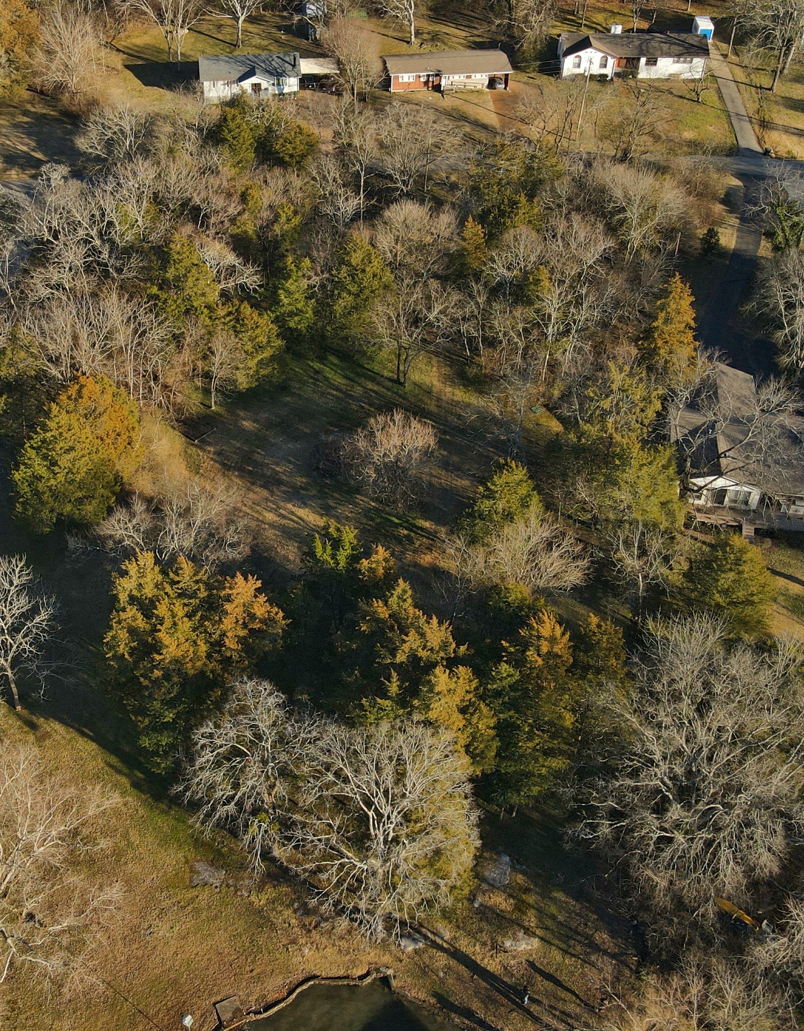 5518 Vanderbilt Road Old Hickory, TN 37138 - Photo 10 of 32 a view of a yard