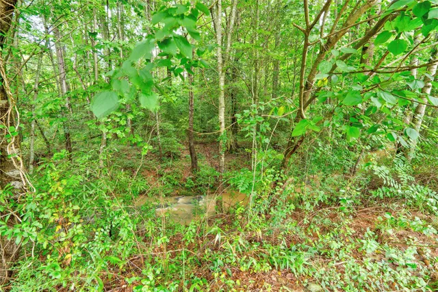 a view of backyard with green space