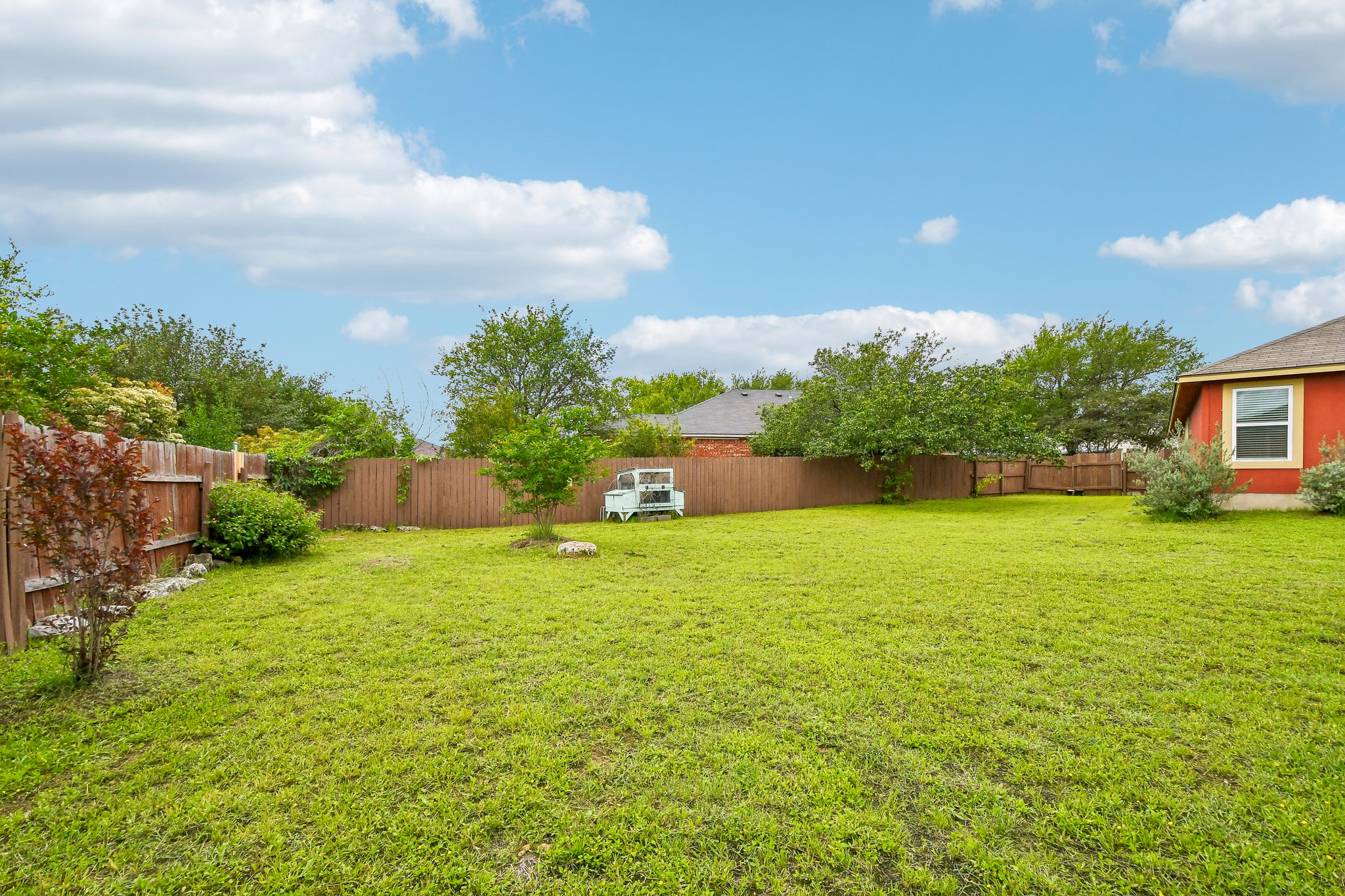 125 Mason Reed Cove Kyle, TX 78640 - Photo 39 of 39 a backyard of a house with lots of green space