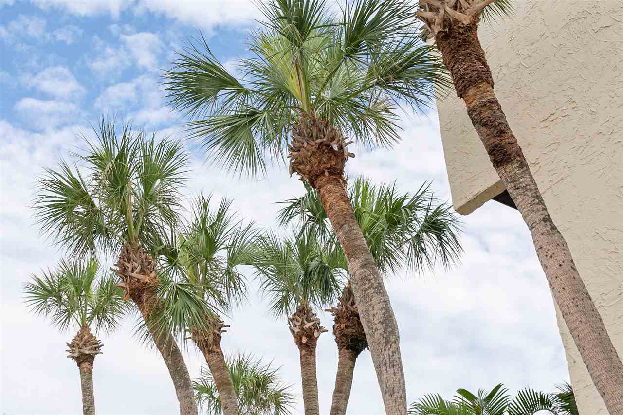 5650 A1A South, Unit C217 St. Augustine, FL 32080 - Photo 47 of 50