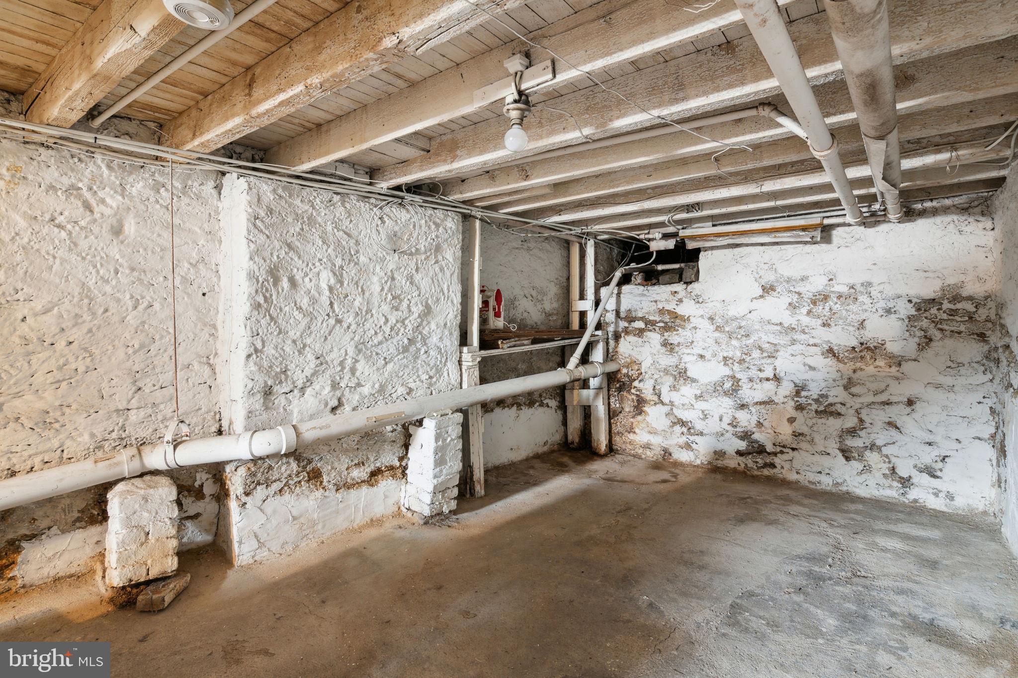 306 Carson Street Philadelphia, PA 19128 - Photo 25 of 27 Basement