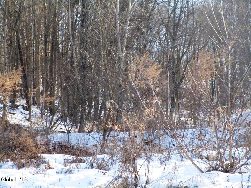 46 Michigan Street Mohawk, NY 13407 - Photo 2 of 6 2