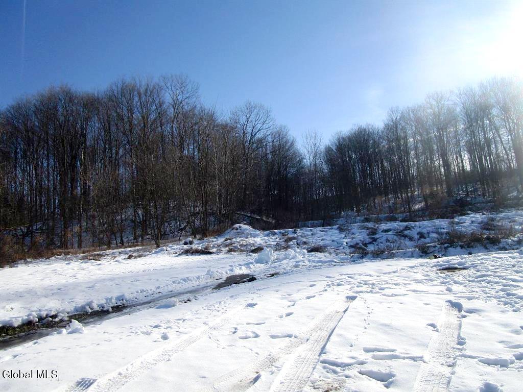 46 Michigan Street Mohawk, NY 13407 - Photo 4 of 6 4