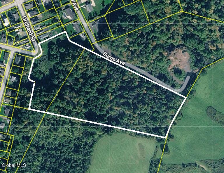 46 Michigan Street Mohawk, NY 13407 - Photo 6 of 6 Screenshot 2026-04-02 112002