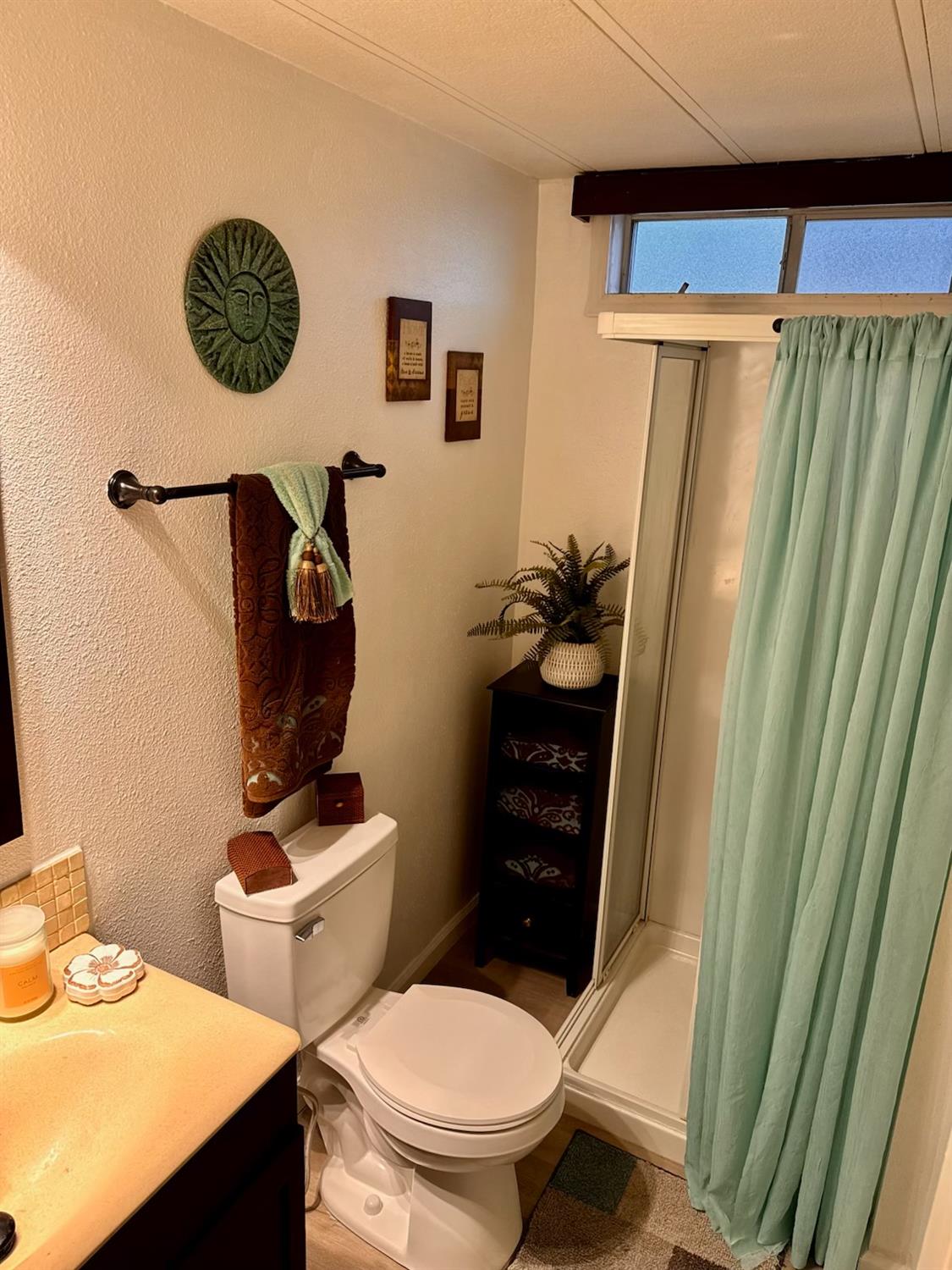 812 West Clover Road, Unit 66 Tracy, CA 95376 - Photo 18 of 27 a bathroom with a toilet a sink and a mirror